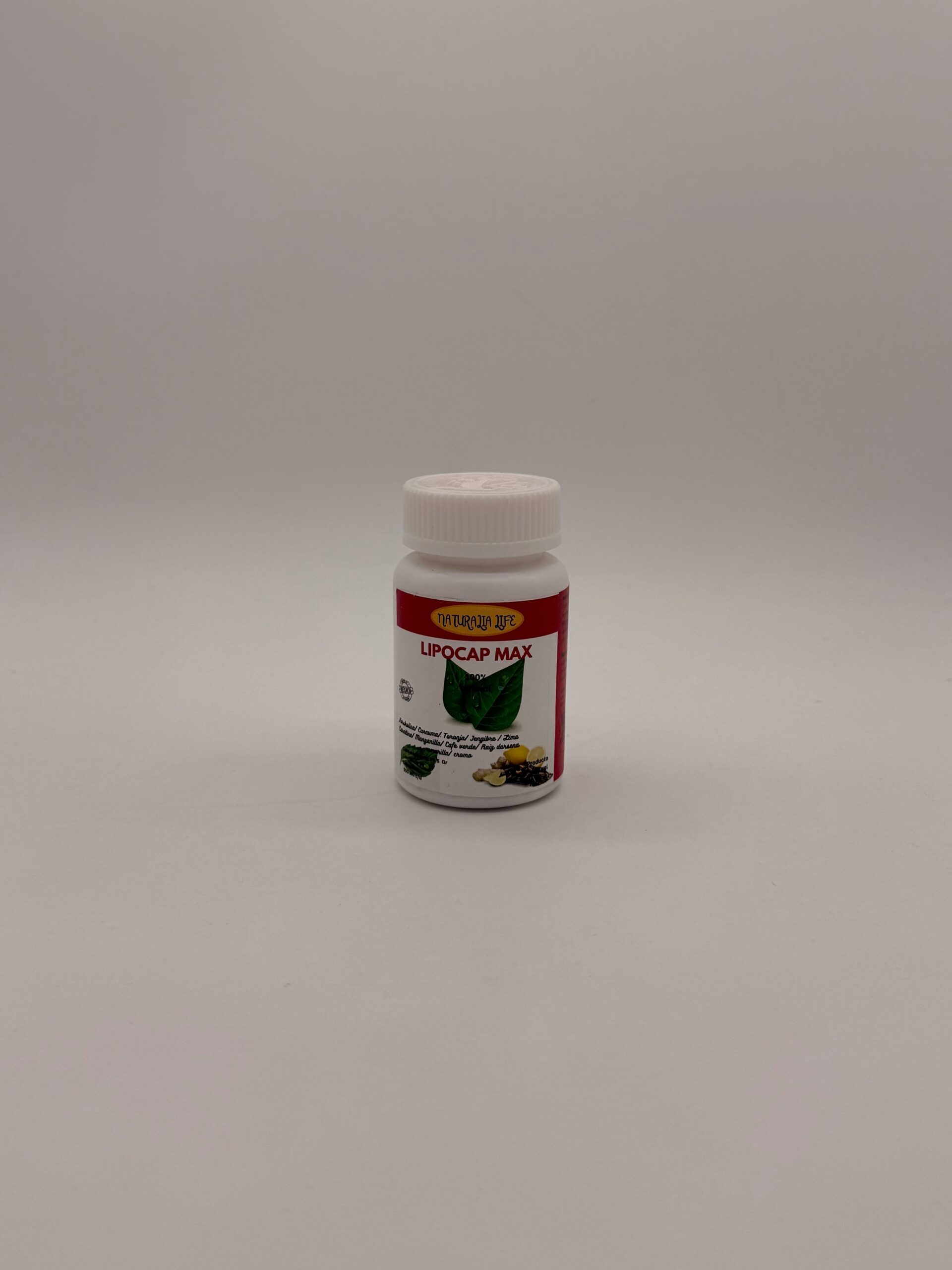 WhatsApp Image 2026-03-05 at 4.36.00 PM (3)